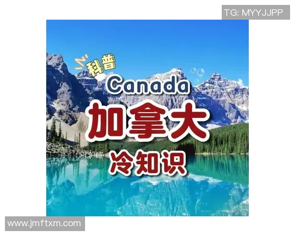 你不知道的VAR:十大冷知识大揭秘 你不知道的VAR:十大冷知识大揭秘