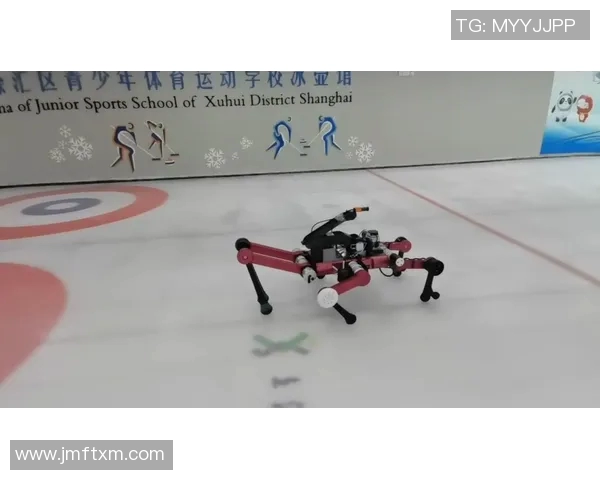 冬奥会冰壶项目中冰道控制技术与战术配合的创新研究与实践分析